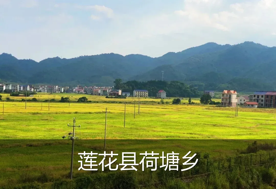 莲花县荷塘乡