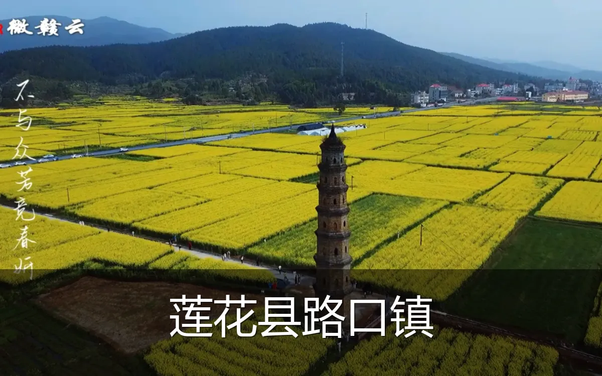 莲花县路口镇