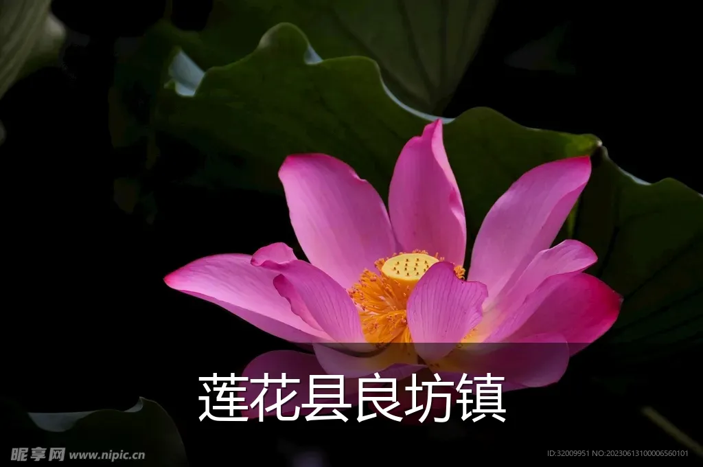 莲花县良坊镇