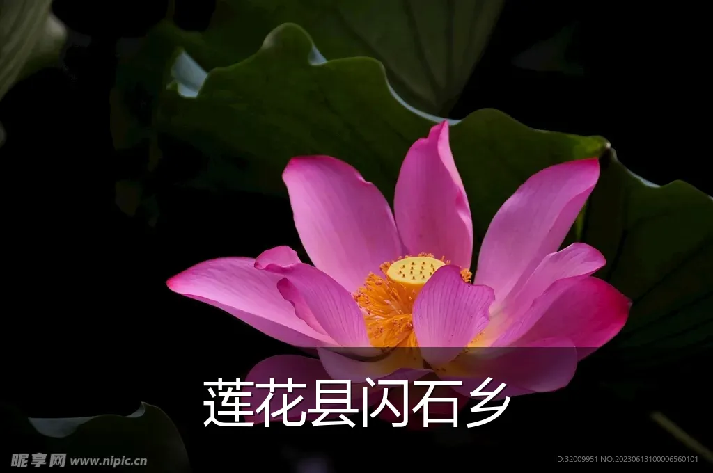 莲花县闪石乡
